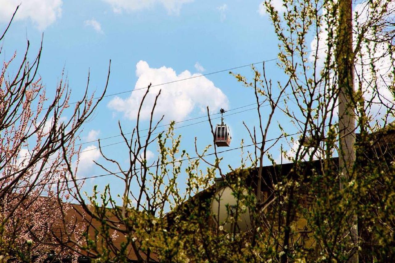 Feel Old Tbilisi Lägenhet Exteriör bild